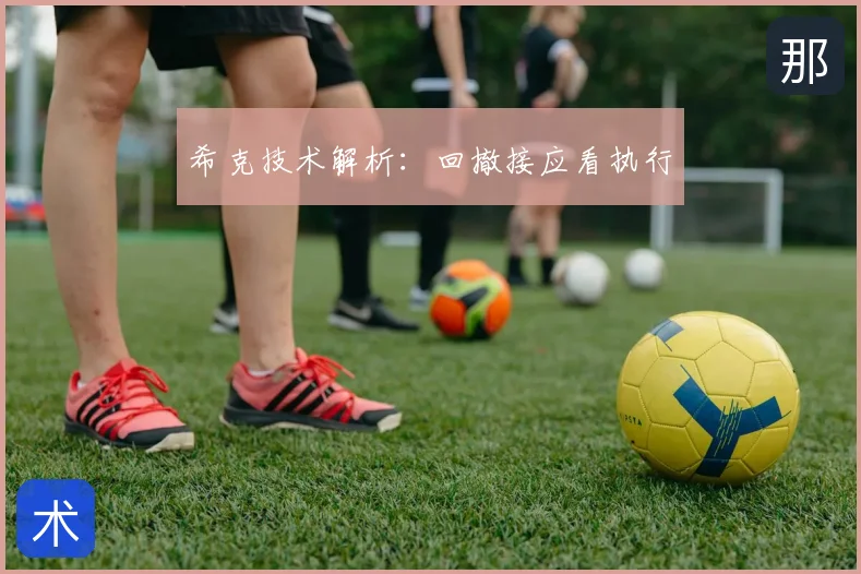 希克技术解析：回撤接应看执行